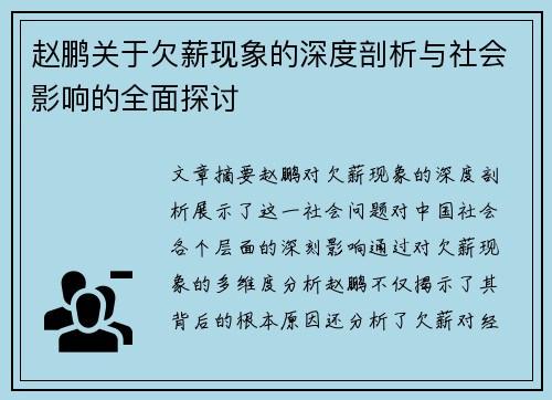 赵鹏关于欠薪现象的深度剖析与社会影响的全面探讨